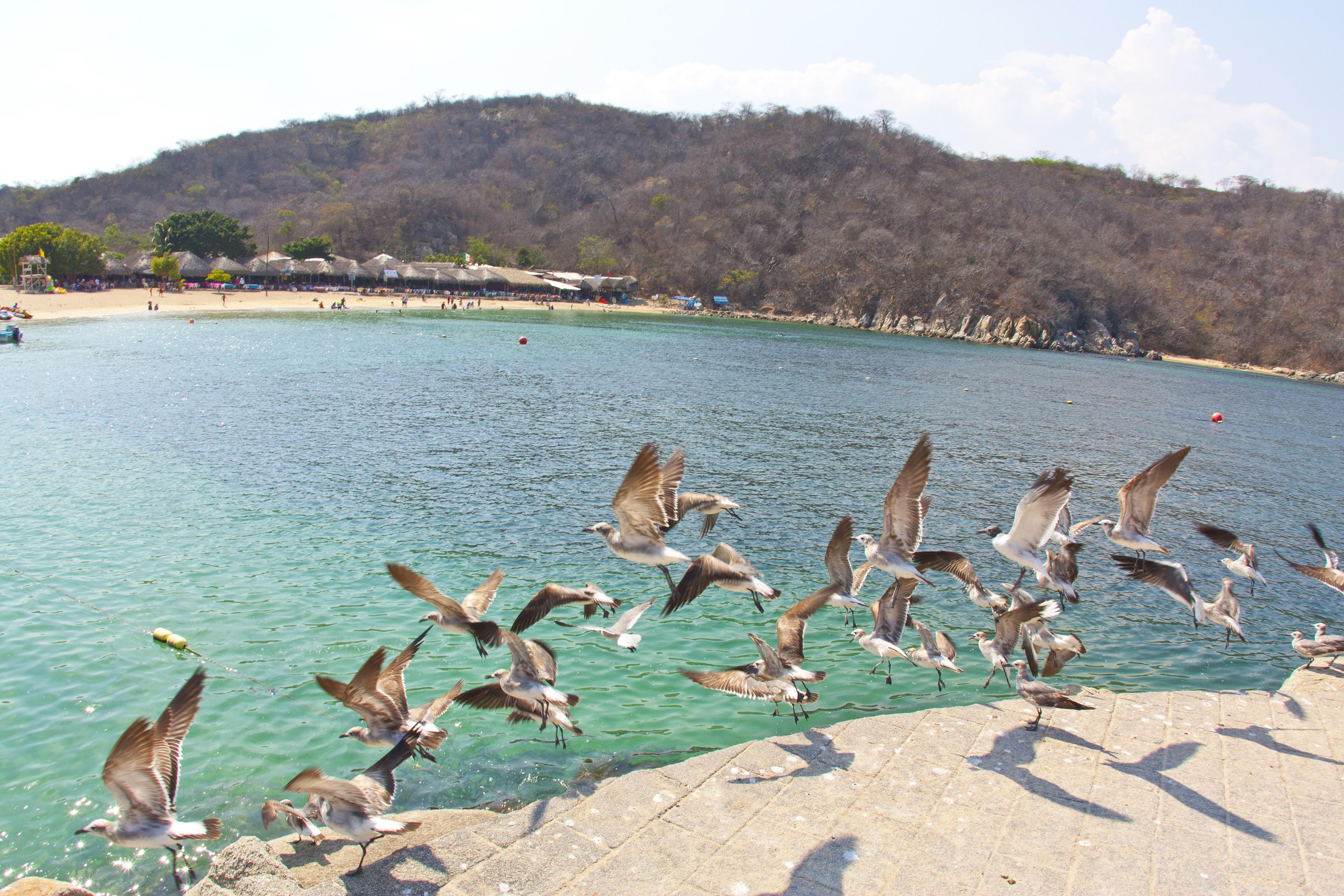 Villa Blanca Huatulco Santa Cruz Huatulco Ngoại thất bức ảnh